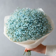 Монобукет из голубой гипсофилы 0