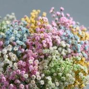 Монобукет из гипсофилы &laquo;Нежный акцент&raquo; 2