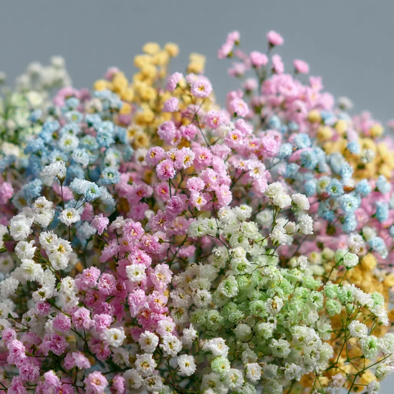 Монобукет из гипсофилы &laquo;Нежный акцент&raquo;