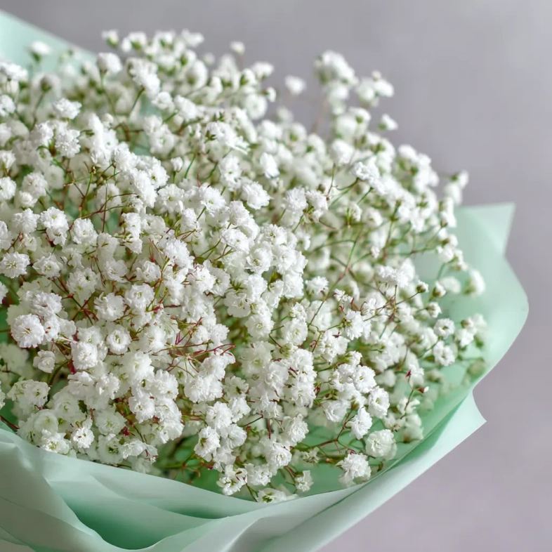 Монобукет из гипсофилы &laquo;Молочная вуаль&raquo;