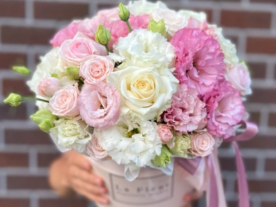 Воздушная нежность