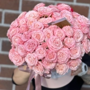 Пудровая нежность 0