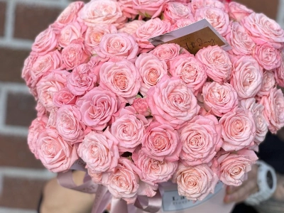 Пудровая нежность