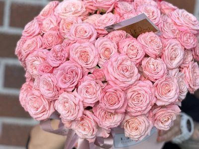 Пудровая нежность