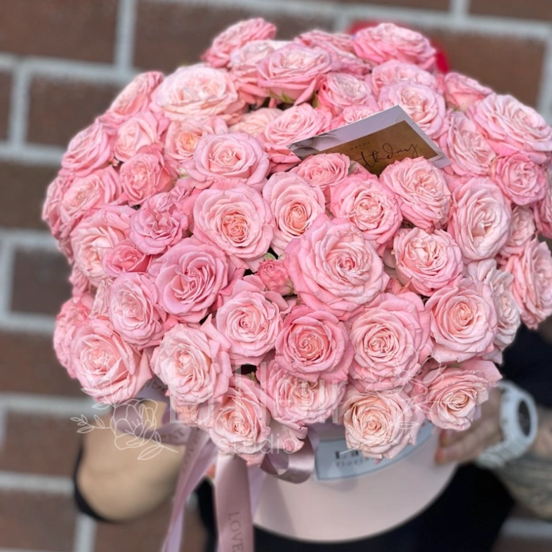 Пудровая нежность