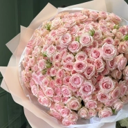 Розовые кустовые розы 0