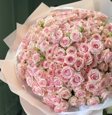 Розовые кустовые розы