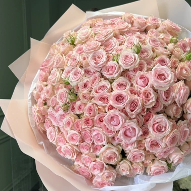 Розовые кустовые розы