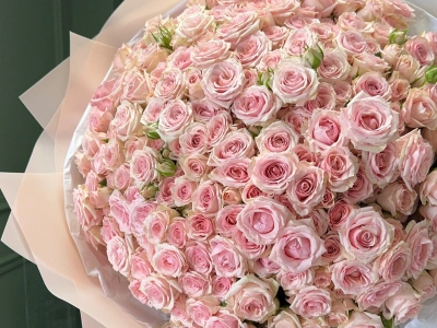 Розовые кустовые розы