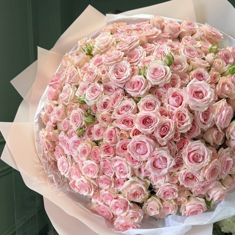 Розовые кустовые розы