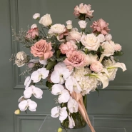 Звездная пыль 0