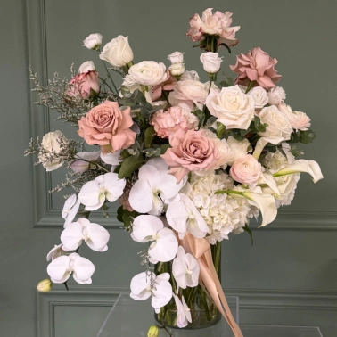 Звездная пыль