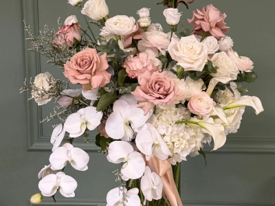 Звездная пыль