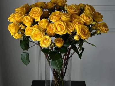 Желтая кустовая роза