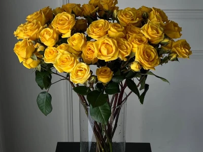 Желтая кустовая роза