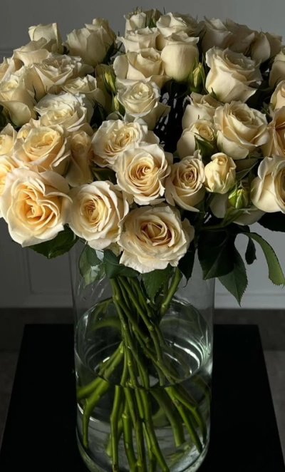 Белые облачные розы