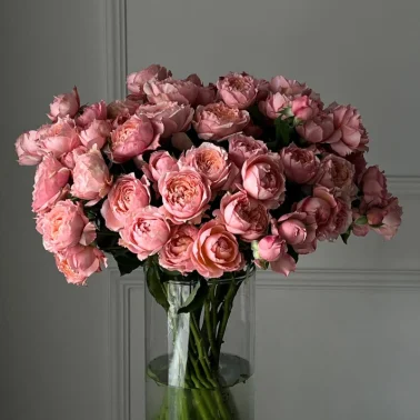 Пудровый Бум