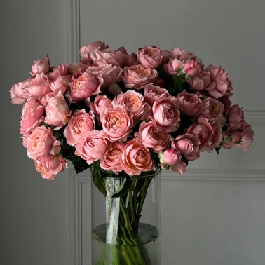 Пудровый Бум