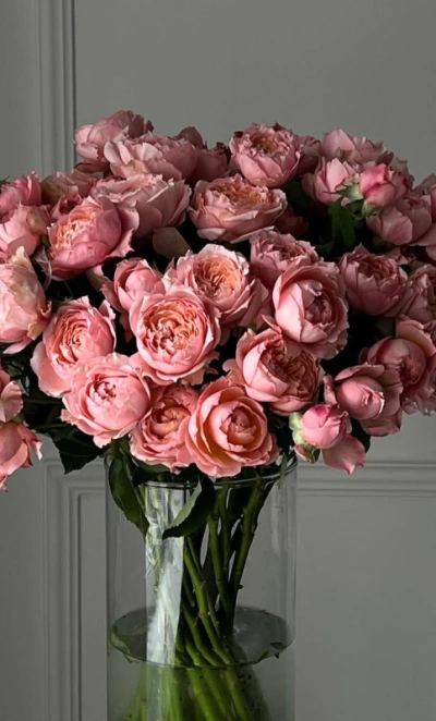 Пудровый Бум