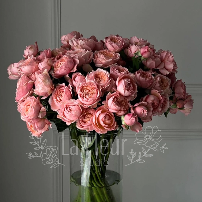 Пудровый Бум