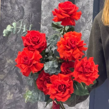 Красные розы «Пламя страсти»