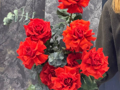 Красные розы «Пламя страсти»