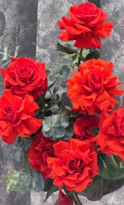 Красные розы «Пламя страсти»