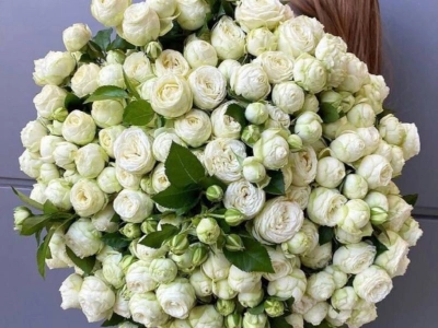 «Облако нежности»