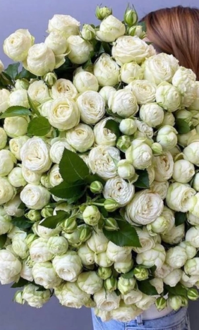 «Облако нежности»