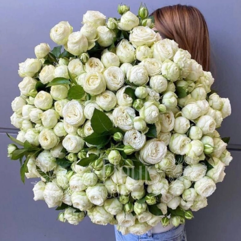 &laquo;Облако нежности&raquo;