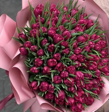 «Бархатный рассвет»