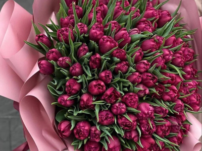 «Бархатный рассвет»