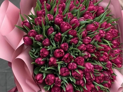 «Бархатный рассвет»