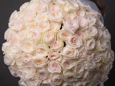 «Небесный шёлк»