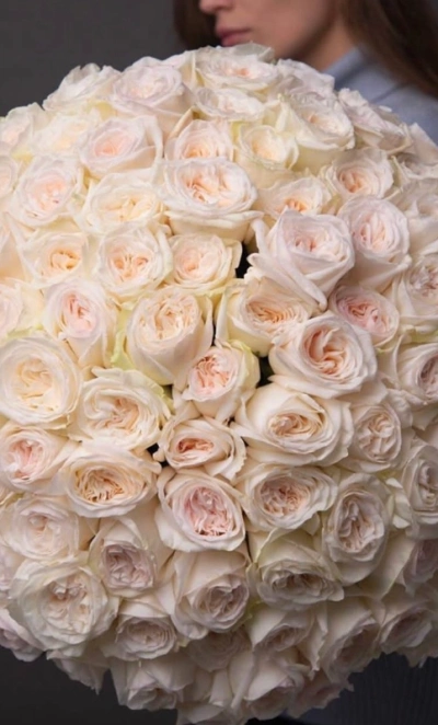 «Небесный шёлк»