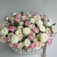 &laquo;Облако счастья&raquo; 0