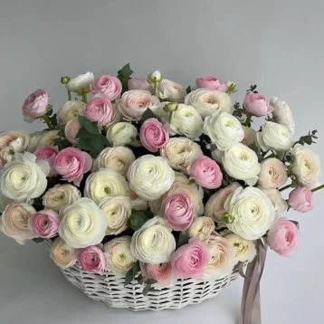 «Облако счастья»