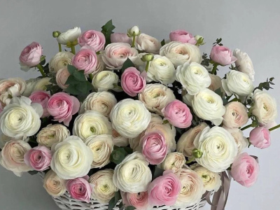 «Облако счастья»