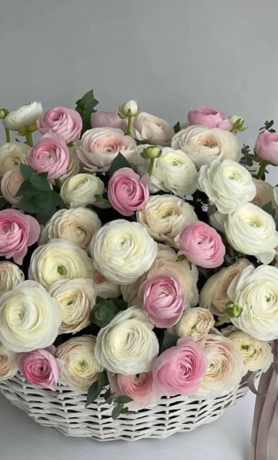 «Облако счастья»