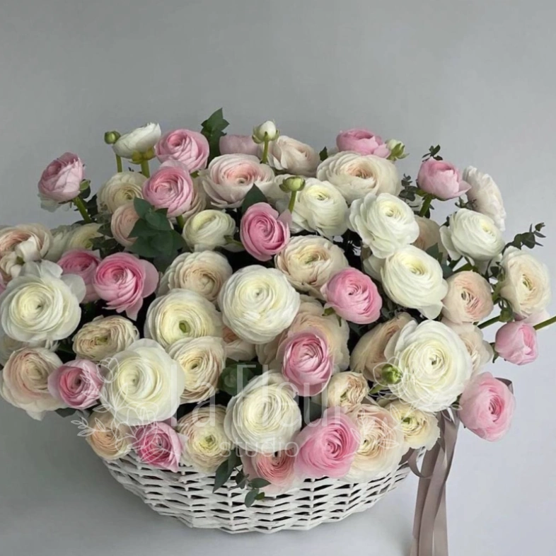 &laquo;Облако счастья&raquo;