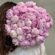 Розовое облако  0