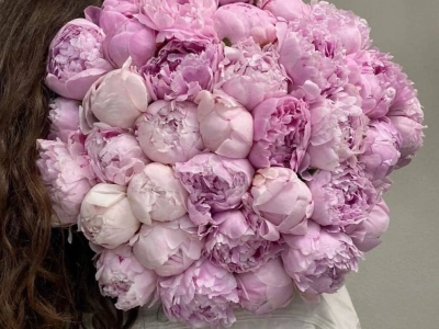 Розовое облако 