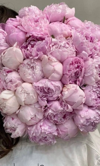 Розовое облако 