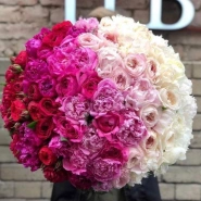 &laquo;Омбре Сияние&raquo; 0