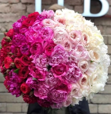 «Омбре Сияние»