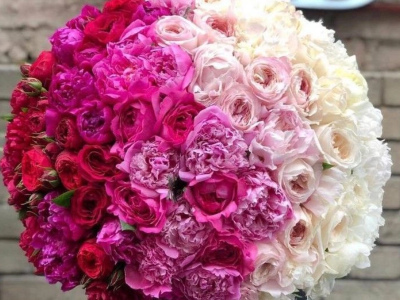 «Омбре Сияние»