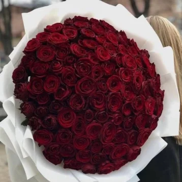 Бордовый бархат