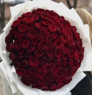 Бордовый бархат