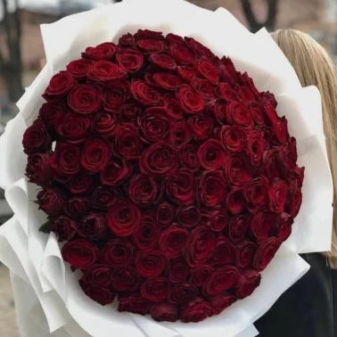 Бордовый бархат