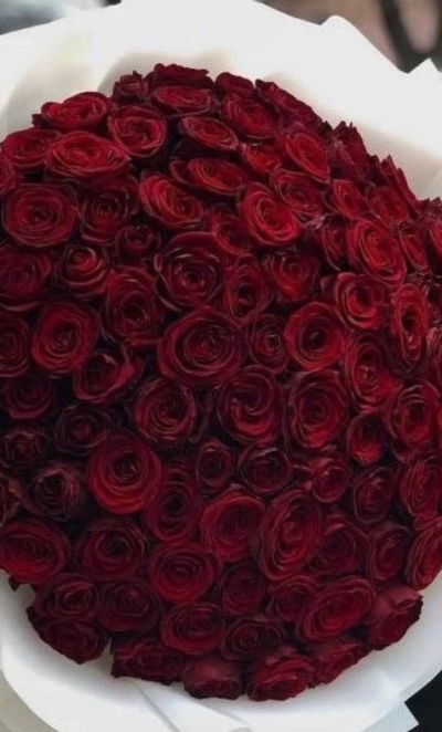 Бордовый бархат